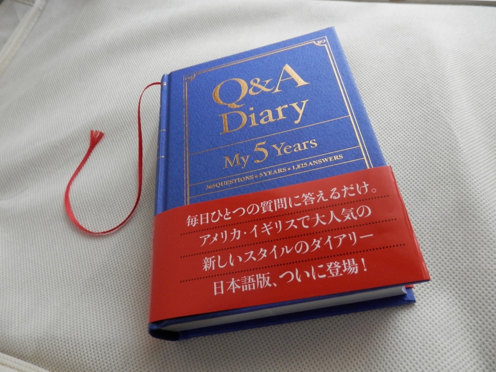 Q&A Diary